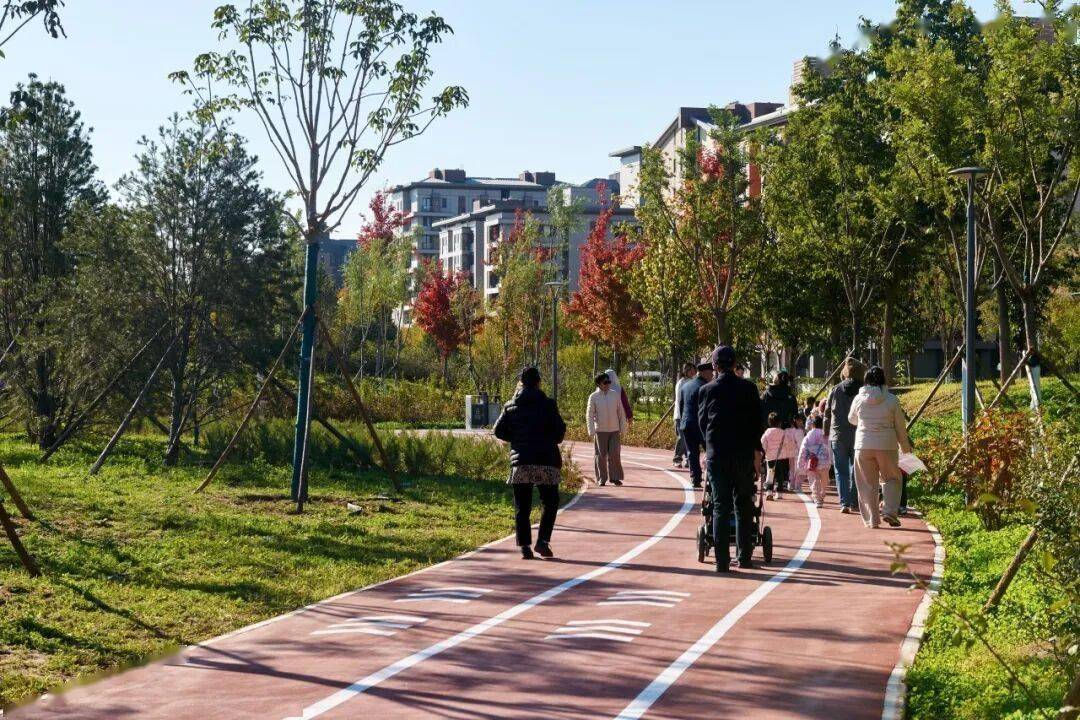 北京新添一个超美大公园！占地超300亩
